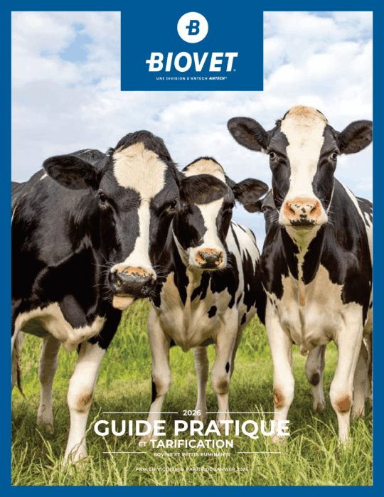 Guide pratique - Bovins et petits ruminants